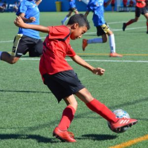 Profile photo of Elías Iddibba