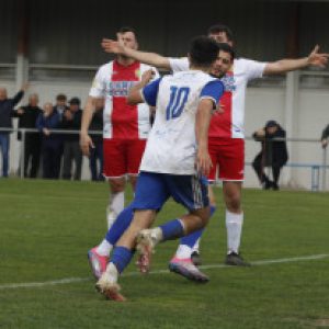 Profile photo of Daniel